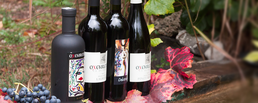 Étiquette vin personnalisée anniversaire avec photo - Qualité LabelPix